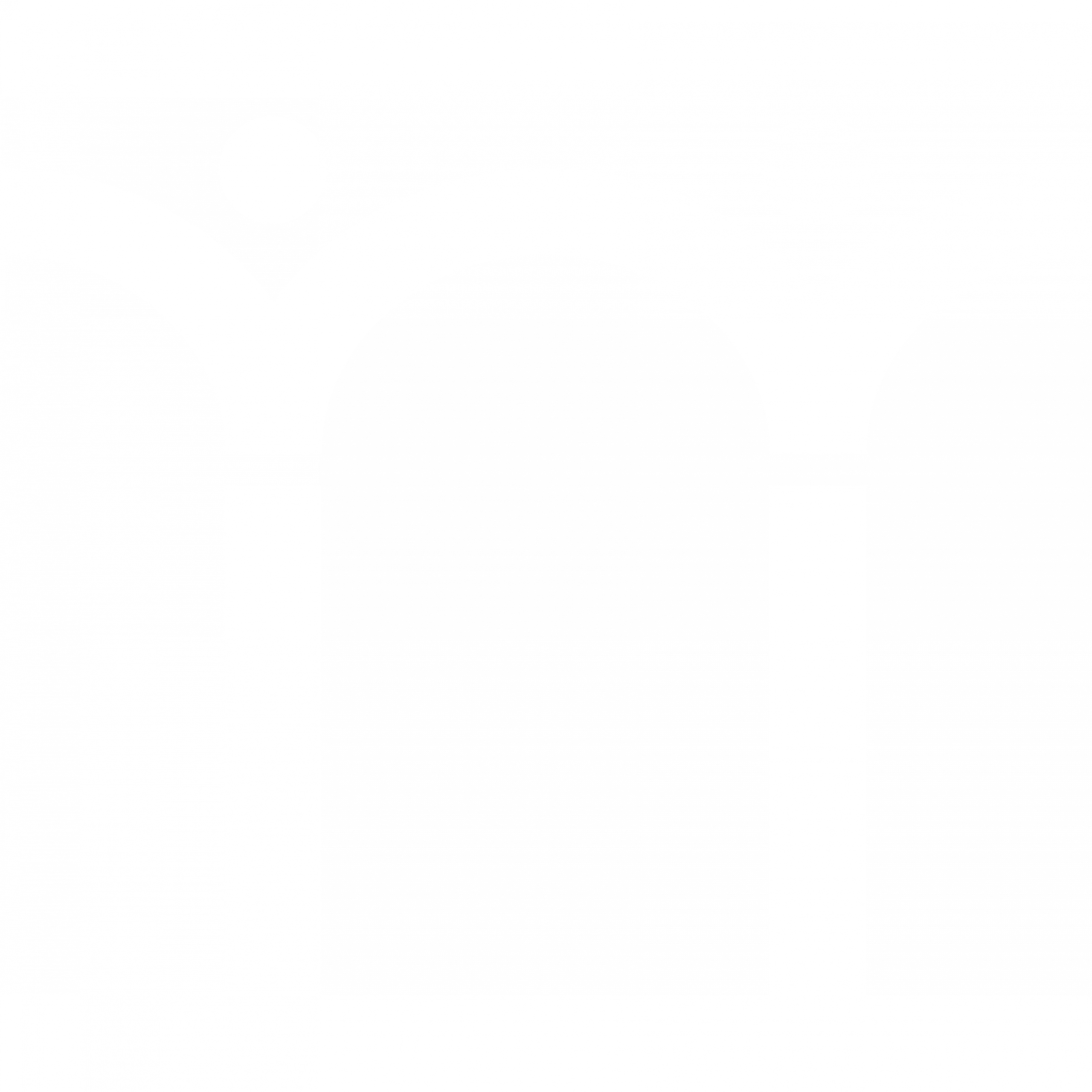 Asociación del Cuerpo de Traductores e Intérpretes del Estado